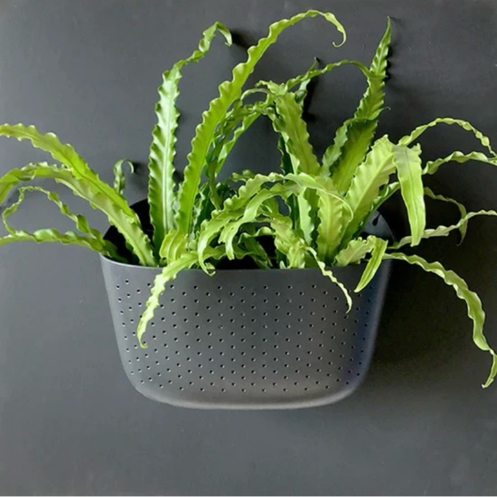 Wallygro charcoal planters set of 4 wall planters. New in box, never used.